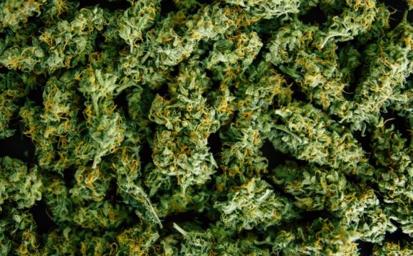 medical-marijuana-img-hemp-1.jpg medical-marijuana-img-hemp-1.jpg