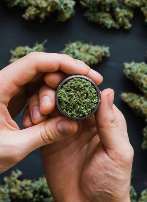 medical-marijuana-img-hemp-2.jpg medical-marijuana-img-hemp-2.jpg